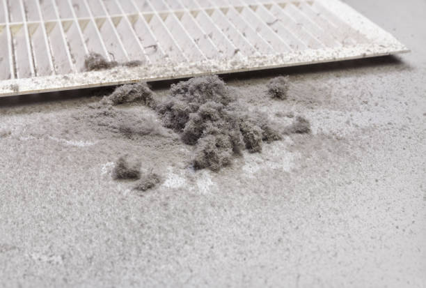 Best Local Air Duct Cleaning Services  in Vamo, FL