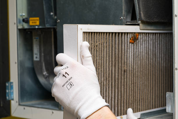 Best Home Air Vent Cleaning  in Vamo, FL