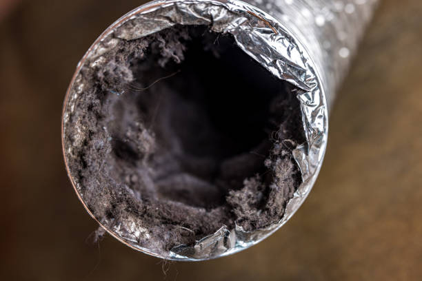 Best Affordable Air Duct Cleaning  in Vamo, FL