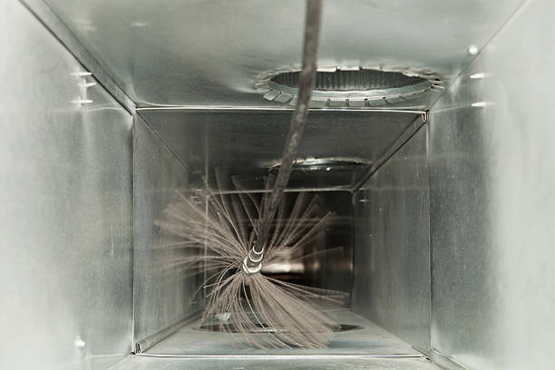 Best Air Duct Cleaning Near Me  in Vamo, FL