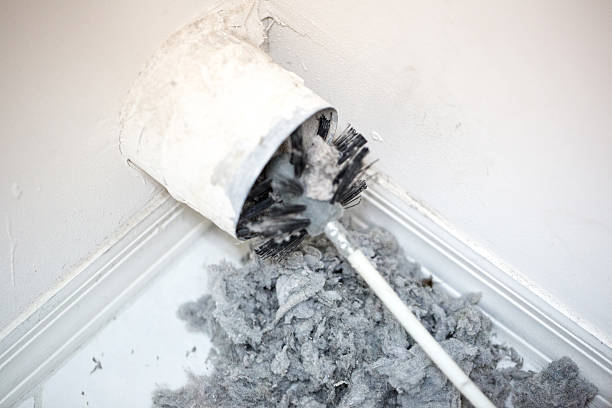 Best Best Air Duct Cleaning Company  in Vamo, FL