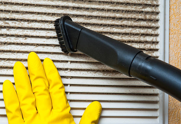Best Air Vent Cleaning Services  in Vamo, FL